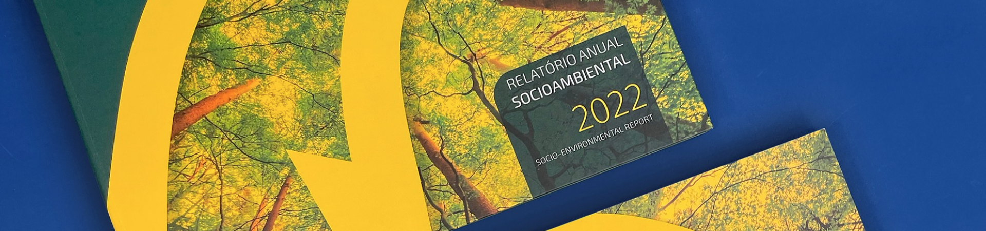Relatórios
